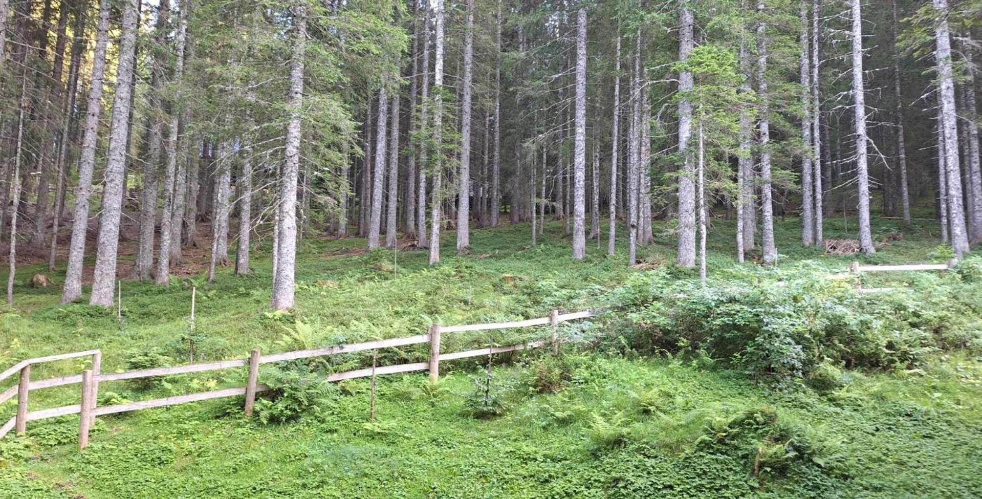 Apartma Anja Zgornje Gorje ภายนอก รูปภาพ
